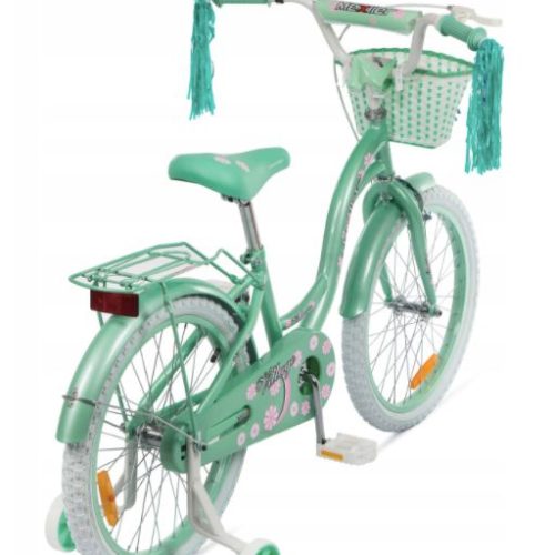 Rower dziecięcy-młodzieżowy 20 cali Mexller Village